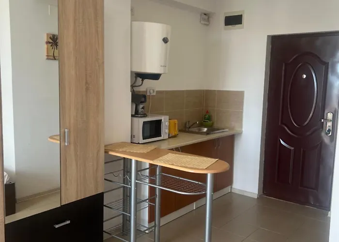 Eforie Studios Apartment